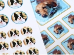 IMG_5859ar.jpg