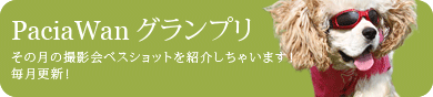 PaciaWanグランプリはこちら！