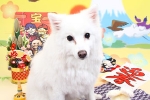 梅川もも.jpg