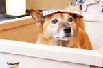 酒井あずき.JPG