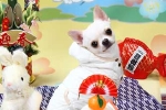 003村上ぶらん.jpg