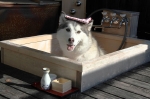 伊藤どり.jpg