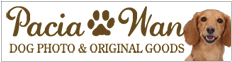 paciawan.banner.png