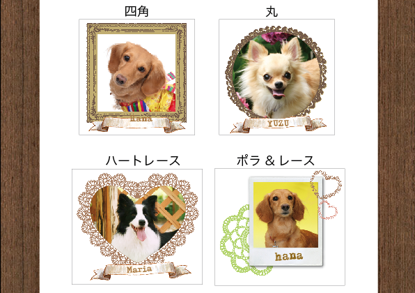 ピクチャ 1.png