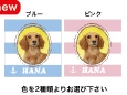 ピクチャ-8.jpg
