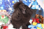 山崎ブラッド.jpg