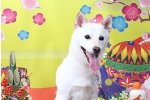 田中しじみ.jpg