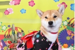 石井レイ.jpg