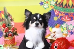 藤本でこ.jpg